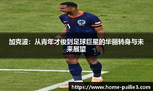 排列三走势图带连线